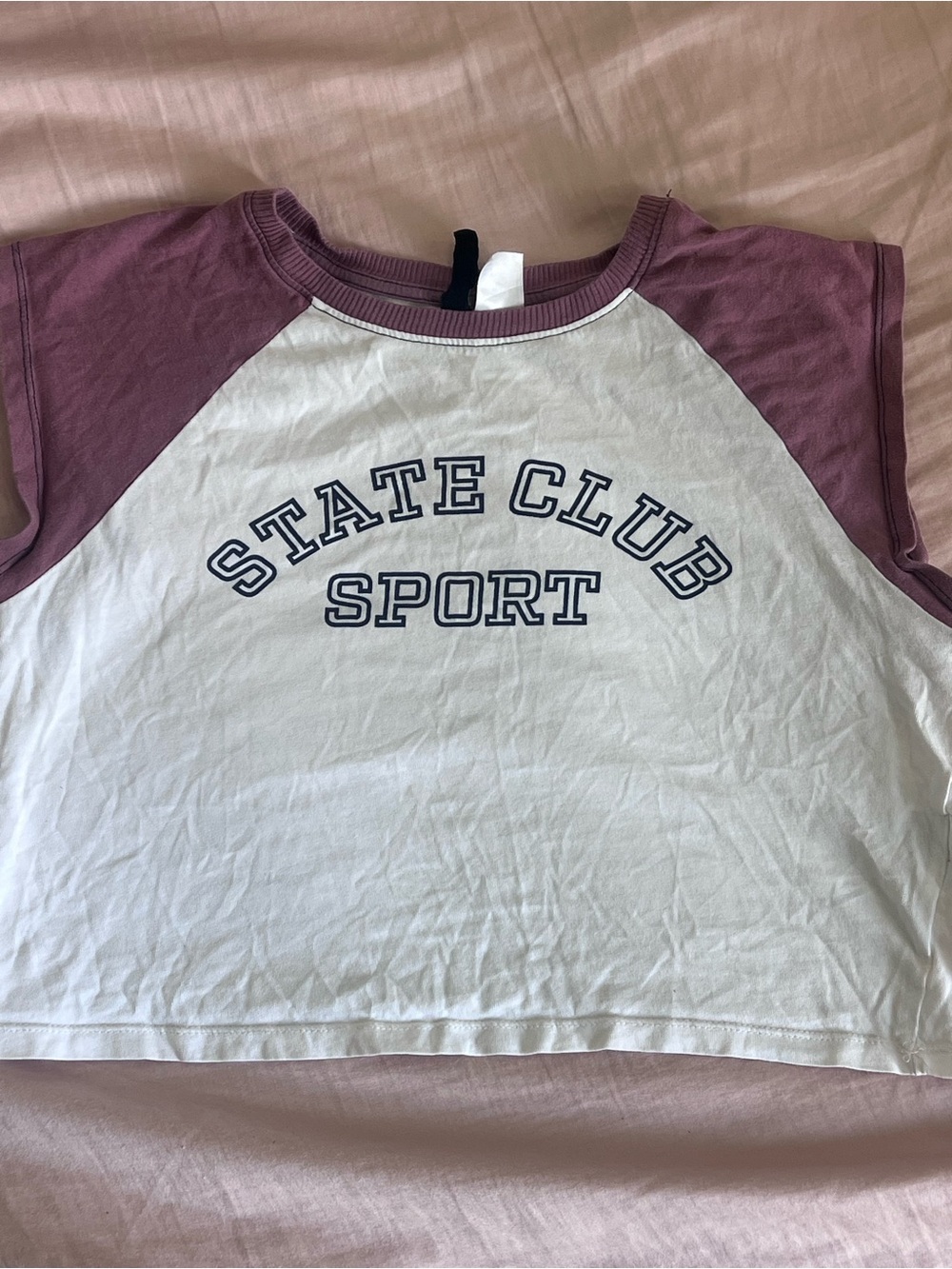 Y2K Divided White and Mauve Raglan Crop Top